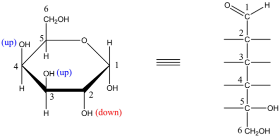 6
с
CH2OH
2
С
5
(up) он
н
Н
1
4
он (up)
4
ОН
Н
2
3
5
-с
-ОН
он (down)
Н
6 CH-ОН
т
о