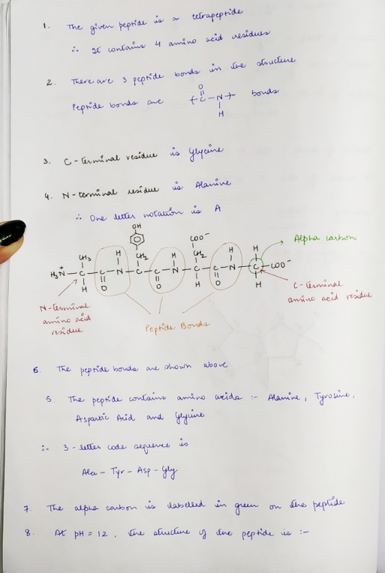 is a terrapeptide The given peptide 4 residues amino acid a. It contains in the structure 2. There are 3 peptide bonds toont