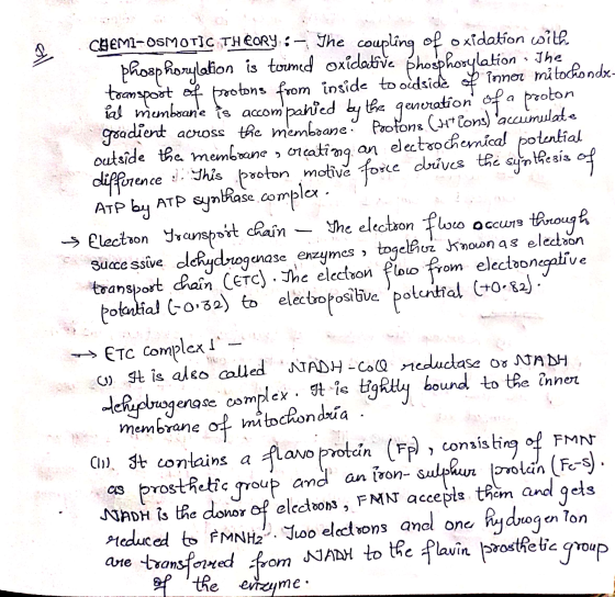 all an potential CHEMI-OSMOTIC THEORY: - The coupling, of oxidation with phosphorylation is tormed oxidative phosphorylation