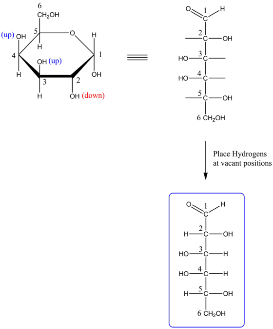 6
н
CH-Он
5
(up) он
2
OH
Н
3
Но-
1
4
ОН (up)
4
Но-
-С
ОН
2
3
5
Он (down)
Н
OH
6 CH-ОH
Place Hydrogens
at vacant positions
н
2