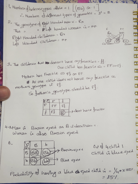 Numler d hetenozgus allele L(EL) Number at dddecent types o gamates S = 2= 2 gerotpeo Hauded mau i Rre RLet handad womau pr 2