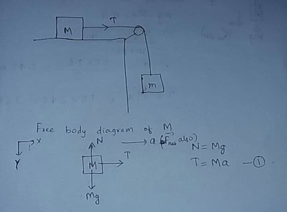 Free body diagram of M m a forney also) IN N = Mg T Y M I=ma - mg