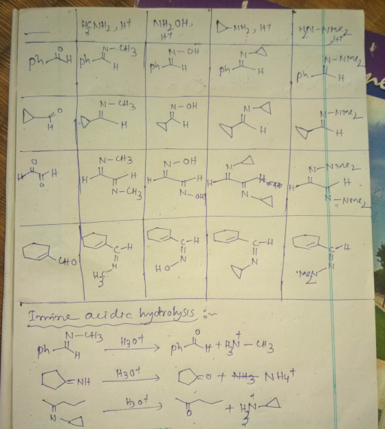 NH₂OH FIN-NH2 HENH2, HT 1. N-CH3 HT DH, 147 A ohhh on -OH Toh LH H/pha IN-Nire, TH N-CHZ N-OH N- None TH N-CH3 N-OHd N-Nmez.