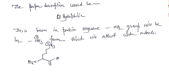 The proper description would be 1 D) Hydophilie This is becaus in protein sequence in - Why farm which will TY - with group w