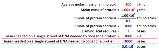 Average molar mass of amino acid g/mol 100 1.00x105 g/mol Molar mass of protein 1.00x105 1 mole of protein contains amino aci