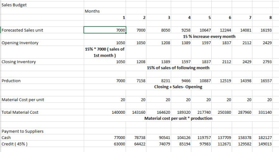 Sales Budget Months B 3 4 5 6 7 8 Forecasted Sales unit 7000! 7000 8050 14081 16193 9258 10647 12244 15% increase every month