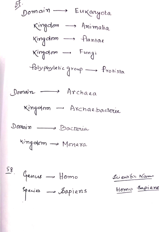 CDomain — Eukaryota Kingdom — Animalia Kingdom — Plantae Kingdom - Fungi Polyphyletic group Protista Domain Kingdom Archaea –