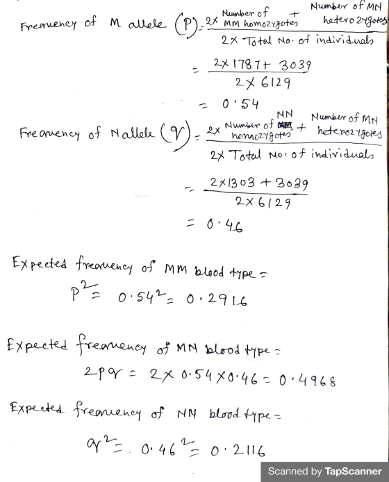 of m allele (P). Frequency Number of my Number of 24 mm homozygotes 2x Total No. of individuals heterozygotes 2X 1787 + 3039