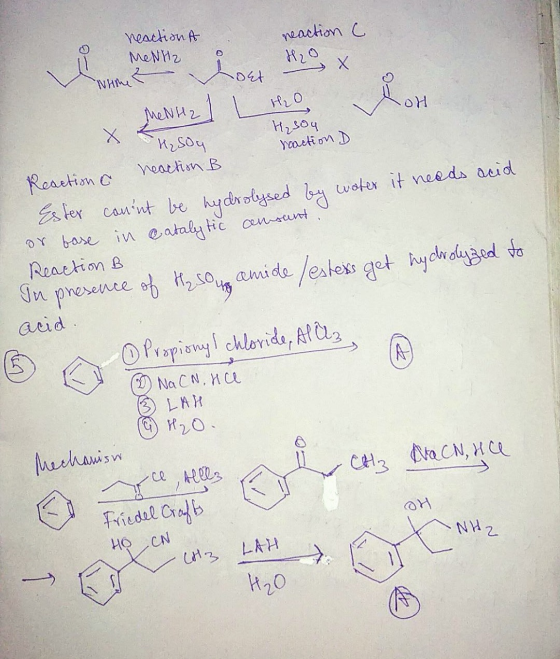 neaction C neaction A MeNH2 host H2O Х WHne H₂O OH MeNHa X H₂ sou reaction D H₂S0y heaction B Reaction o Ester cannt be hydr