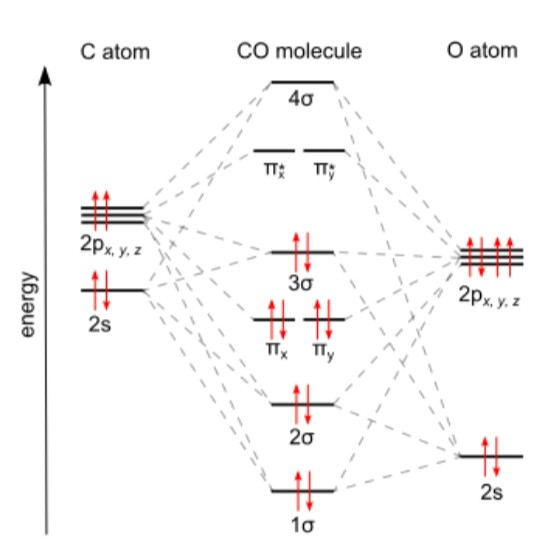 CO molecule O atom C atom 2s TT TTy LS 2σ 2s