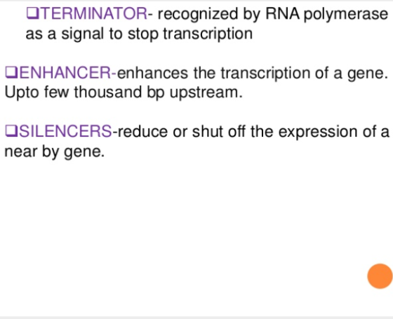 OTERMINATOR- recognized by RNA polymerase as a signal to stop transcription DENHANCER-enhances the transcription of a gene. U
