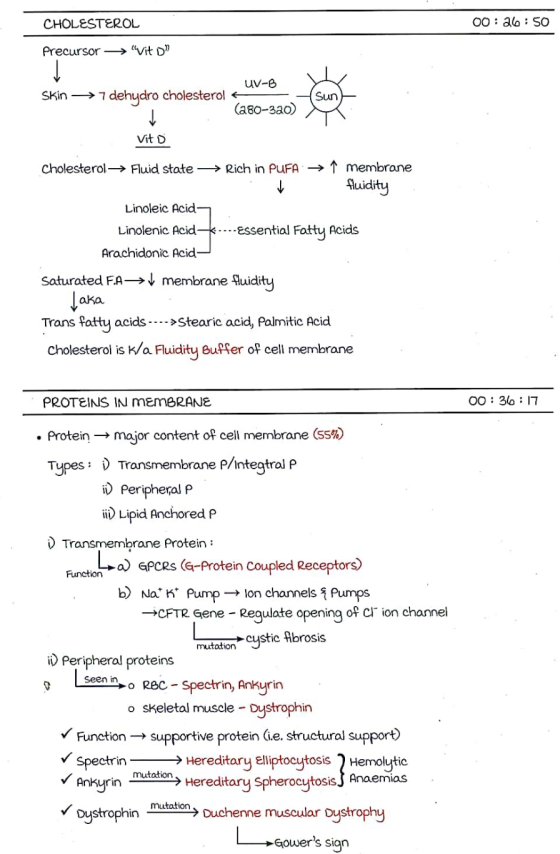 CHOLESTEROL 00:26: SO Precursor → Vit D UV-B Skin →7 dehydro cholesterol (280-320) Sun → Vit D Cholesterol → Fluid state →