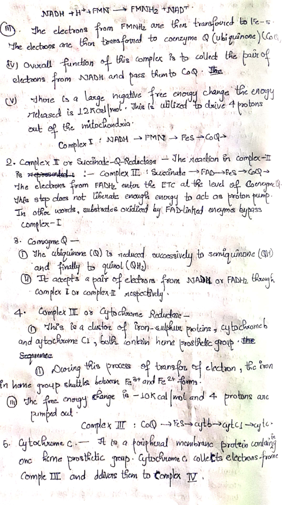 NADH and the out of FAD>Fes-> (002- NADH +++ FMN FMNIH2 +NAPT. The electrons from Fmote are then transfoured to lë-s. the ele