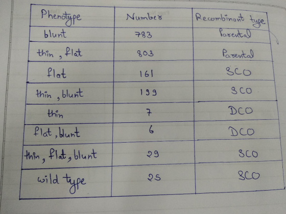 Phenotype Recombinant type Number 783 803 blunt thin, flat flat thin blunt Parental Parental sco 161 199 sco thin DCO 7 6 DCO
