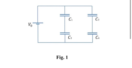 C1 C2 Vo C3 C4 Fig. 1