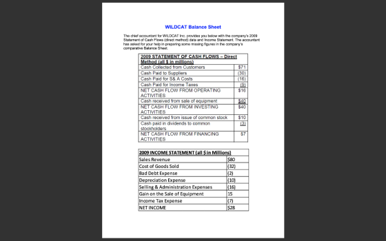 WILDCAT Balance Sheet The chief accountant for WILDCAT Inc. provides you below with the companys 2009 Statement of Cash Flow