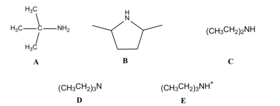 H3C (CH3CH2)2NH 3 CH3CH2)3N (CH3CH2)3NH