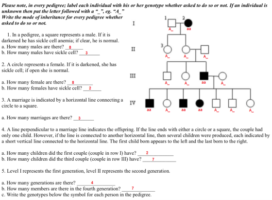 Please note, in every pedigree; label each individual with his or her genotype whether asked to do so or not. Ifan individual is unknown then put the letter followed with a , eg. A Write the mode of inheritance for every pedigree whether asked to do so or not. 1. In a pedigree, a square represents a male. If it is darkened he has sickle cell anemia; if clear, he is normal a. How many males are there?8 b. How many males have sickle cell?3 2. A circle represents a female. If it is darkened, she has sickle cell; iI open she is normal a. How many female are there? 8 b. How many females have sickle cell? 2 3. A marriage is indicated by a horizontal line connecting a circle to a square IV a. How many marriages are there?-3 4. A line perpendicular to a marriage line indicates the offspring. If the line ends with either a circle or a square, the couple had only one child. However, if the line is connected to another horizontal line, then several children were produced, each indicated by a short vertical line connected to the horizontal line. The first child born appears to the left and the last born to the right a. How many children did the first couple (couple in row I) have?2 b. How many children did the third couple (couple in row III) have?7 5. Level I represents the first generation, level II represents the second generation. a. How many generations are there? b. How many members are there in the fourth generation? 7 c. Write the genotypes below the symbol for each person in the pedigree