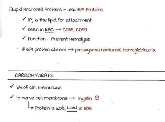 idLipid Anchored Proteins - aka GPI Proteins ✓ip is the lipid for attachment ✓ seen in RBC → 0055, 0059 ✓ Function - Prevent