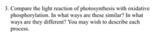 3. Compare the light reaction of photosynthesis with oxidative phosphorylation. In what ways are these similar? In what ways