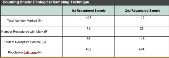Counting Snails: Ecological Sampling Technique 1st Recaptured Sample 2nd Recaptured Sample 108 112 Total Number Marked (M) 19
