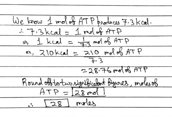 We know 1 mol of ATP produces 7.3 kcal. 7.3 kcal = 1 mol of ATP on 1 kcal = 11 mol of ATP or, 210kcal = 210 mol of ATP 7,3 22