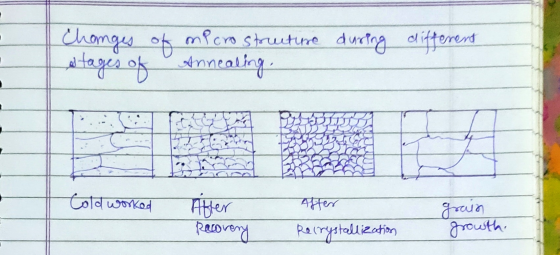 during different Changes of microstructure а на Annea од Cold worked After After Recovery gaan growth. Recrystallization