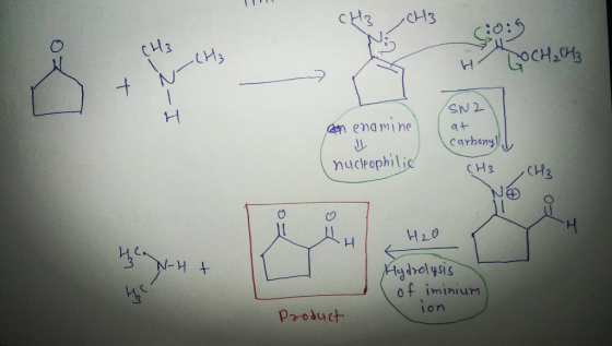 CH3 CH3 $099 CH3 .LH₃ H COCH₂CH3 2- SN2 4 con enamine at carbonyl J nucleophilic CH3 CH3 H2O hN-Ht Hydrolysis iminium ion Pro
