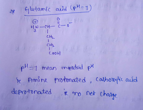 * Glutamic acid (pH=1) llen HNCH E th cooH pH = 1 mean neatral pH e Amine protonated, carboxylic acid deprotonatedre no net c
