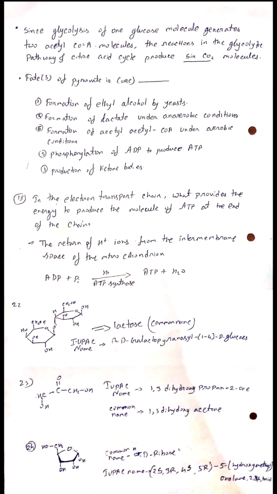 One since glycolysis of glucose molecule generates two acely 20-A. molecules, the neochons in the glycoly de Pathway & citric