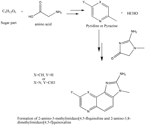 C6H1206 + __NH₂ + HCHO HO Sugar part amino acid Pyridine or Pyrazine NH NH2 X=CH, Y=H or X=N, Y=CH3 Formation of 2-amino-3-me