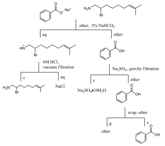 obrary Nat - H₂N Y Br ether, 5% NaHCO3 aq ether HN Н 6M HCI, vacuum filtration Na2SO4, gravity filtration aq ether H2NY NaCl