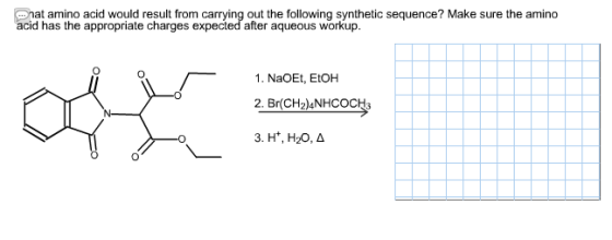 Chat amino acid would result from carrying out the