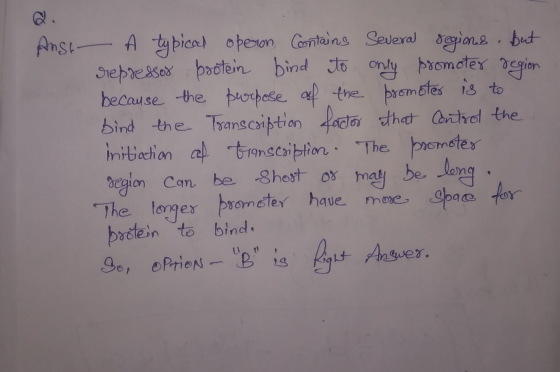 Aust A typical operion Contains several regions. But Siepressor pootein bind to only promoter gegion because the purpose of t