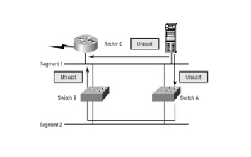 Unicast Segment 1 - Unicast Uncat Smith Switch Begr 2-