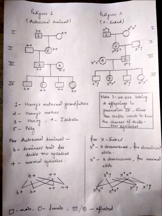 edigree į ( Autos。mw domon art) x- sinked hナ h t 4 Notewe are taki 1- Honmys matern rand pahes trn generation Ainae wo ther t