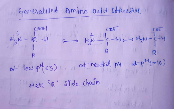 Generalused Amino auld streusel COOH Coo COU thN-12-4 as thN(HEN-CH IRIR at low pH (23), at neutral ph at p4(710) Hell CR sid
