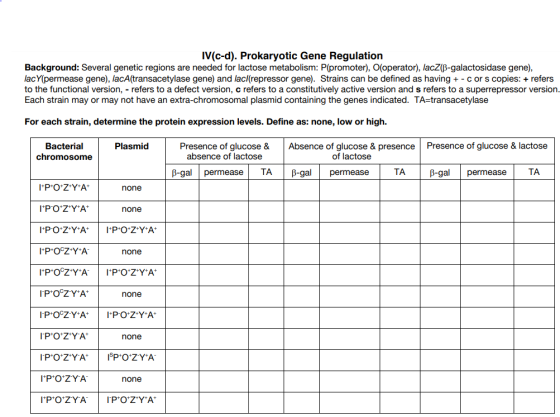 IV(c-d). Prokaryotic Gene Regulation Background: Several genetic regions are needed for lactose metabolism: P(promoter), O(operator), lacZ(B-galactosidase gene), lacY(permease gene), lacA(transacetylase gene) and lacl(repressor gene). Strains can be defined as having c or s copies: + refers to the functional version, - refers to a defect version, c refers to a constitutively active version and s refers to a superrepressor version Each strain may or may not have an extra-chromosomal plasmid containing the genes indicated. TA-transacetylase For each strain, determine the protein expression levels. Define as: none, low or high. Presence of glucose & Absence of glucose & presencePresence of glucose & lactose Bacterial chromosome Plasmid absence of lactose of lactose ?-gall permease | TA | ?-gall permease | TA | ?-gall permease | TA none none none none none none