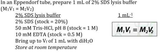 In an Eppendorf tube, prepare 1 mL of 2% SDS lysis buffer (M1V1 = M2V2) 2% SDS lysis buffer 1 mL-1 2% SDS (stock = 20% 50 mM