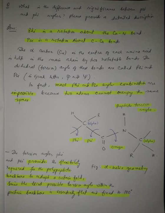 e what and in the difference and phi angles? please significance between psi provide a detailed description An: Phi ù a rotat