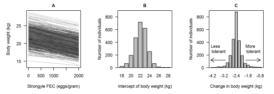 Body weight (kg) Number of individuals Number of individuals Less tolerant More tolerant 0 500 1000 2000 18 20 22 24 26 28 -4