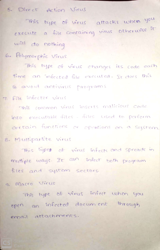 5. Direct Action virus This type of virus attacks when you execute a file containing virus Otherwise it will do nothing 6. Po