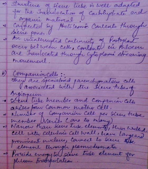 & Struetune of siene liebe is well adapled for the Iralislocation of Carsolendrate and organi material or confpected sy proto