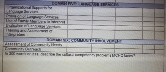 DOMAIN FIVE LANGUAGE SERVICES Organizational Supports for Language Services Provision of Language Services Use of Family Memb