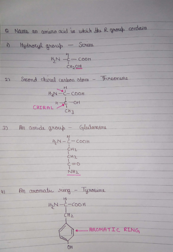 0 Namte an amume ocid in uhich the R gheup cendaim. Secend chutal carbon atom Thneemma CHIRAL CH 3 3) An amids group Gldam.in