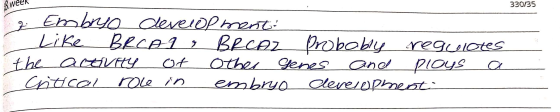 330135 8.week ( Embryo development: C Like BRCAI , BRCAZ Probably regulotes the activity of Other Genes and plous a critical