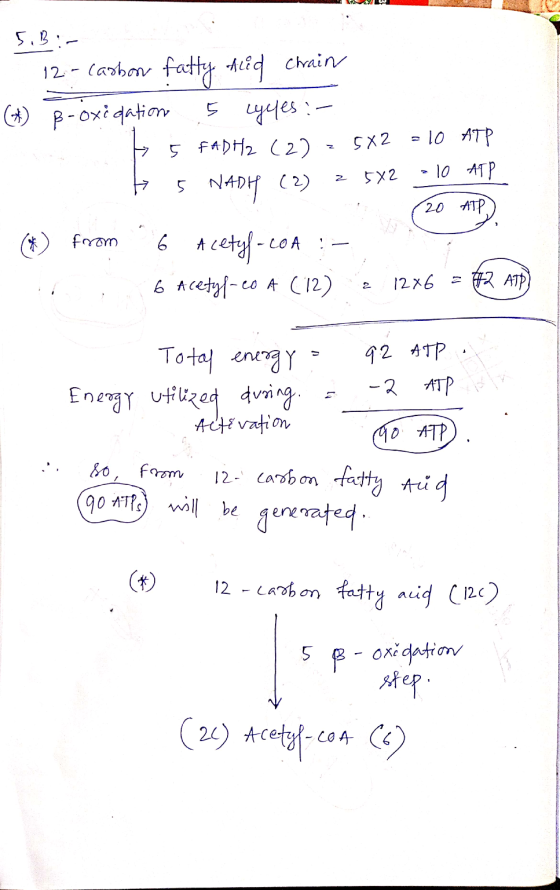 Z 5.B :- 12.- Cadbom fatty feed Chain (*) B-oxcgation 5 lygles :- B 5 FADH2 (2) ²5X2 = 10 ATP b5 NADH (2) = 5x2 - 10 ATP (20