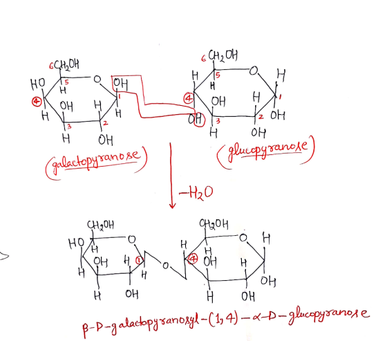 때매 H 6매 이08 , \ 12 대은 앤 H H * 애 애 (glucopyranoje) 보 ㅐ 애 (galactopyranose) HO 애 애 오H \HAN + 애 애 | 애 B-D-galactopy sanosyl-(1,