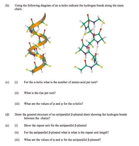 (b) Using the following diagram of an a-helix indicate the hydrogen bonds along the main chain For the a-helix what is the nu