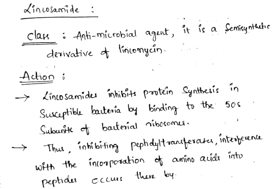 Lincosamide : class • Anti-microbial agent, it is a Servisynthetic derivative of lincomycin. Action : > Lincosamides inhibits